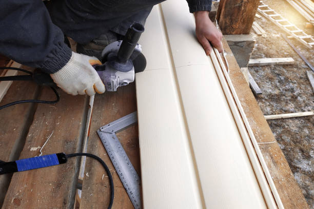 Best Siding Painting and Refinishing  in Gower, MO